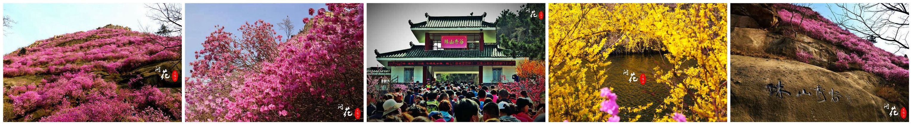 大珠山秀谷景点
